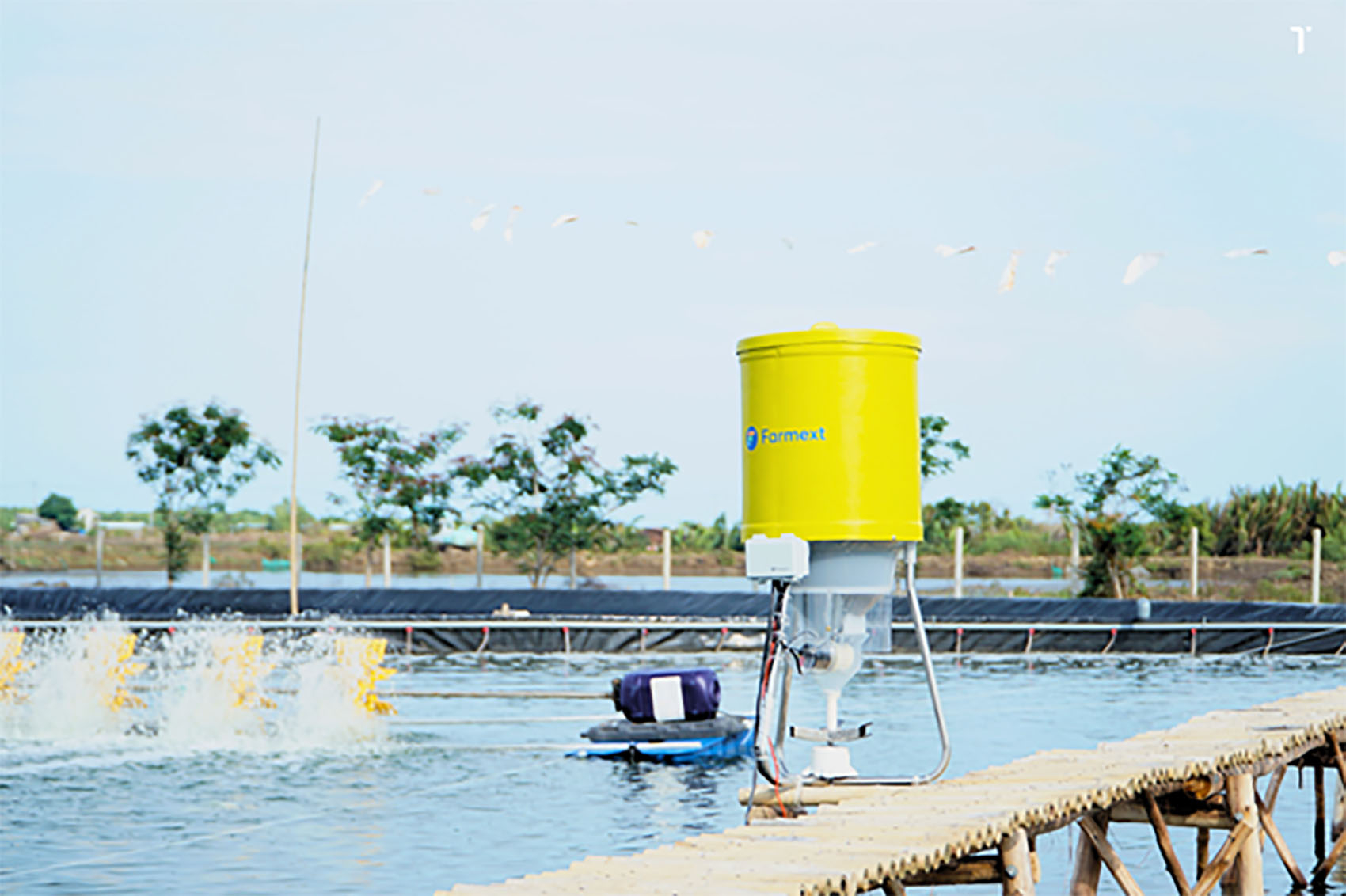 Hạn chế 98% rơi thức ăn và những điều đặc biệt trong sản phẩm máy cho ăn mới của Tép Bạc