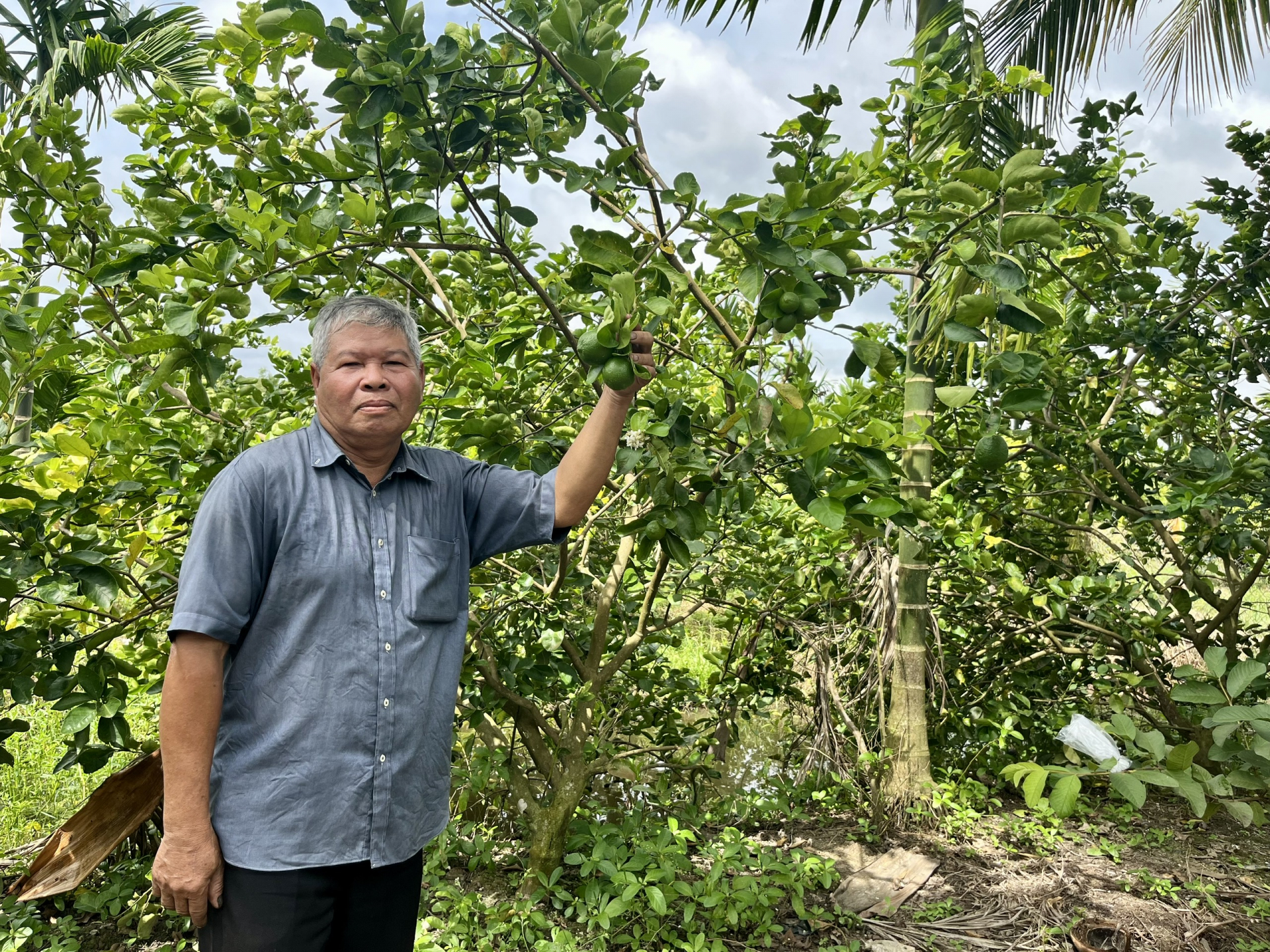 សមាគមកសិករ​ឃុំកេថាញ់​ជាមួយ​ទម្រង់ផលិតប្រកបដោយប្រសិទ្ធភាព