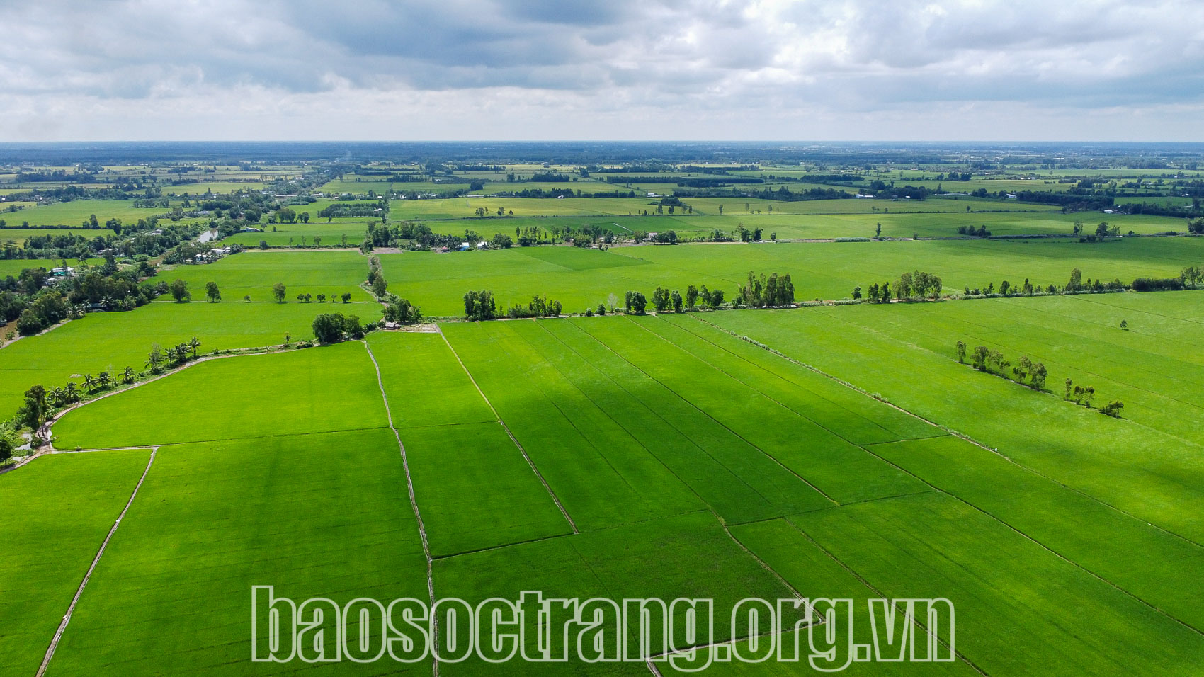 Xuân hồng - Xuân xanh