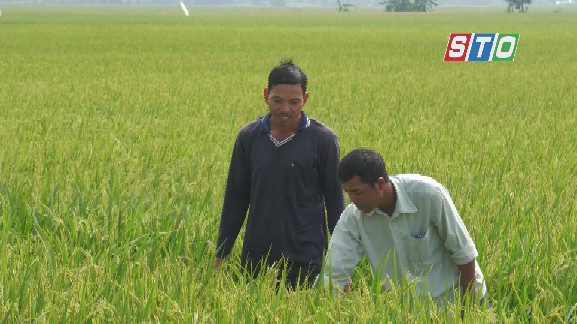 គំរូអតីតយុទ្ធជនធ្វើសេដ្ឋកិច្ចពូកែ