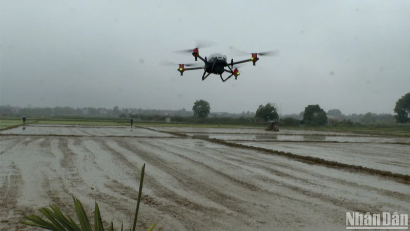 Chuyển đổi số tạo cơ hội mở rộng không gian phát triển khu vực nông thôn