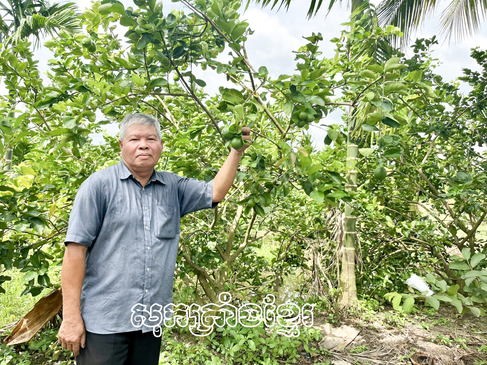 លោកថាច់ឌាក-ប្រធានសាខាសមាគមកសិករភូមិបាឡាំង ឃុំកេថាញ់ ស្រុកកេសាត់ (សុកត្រាំង) អភិវឌ្ឍសេដ្ឋកិច្ចដោយសារវិធីសាស្ត្រដាំដំណាំចម្រុះ។