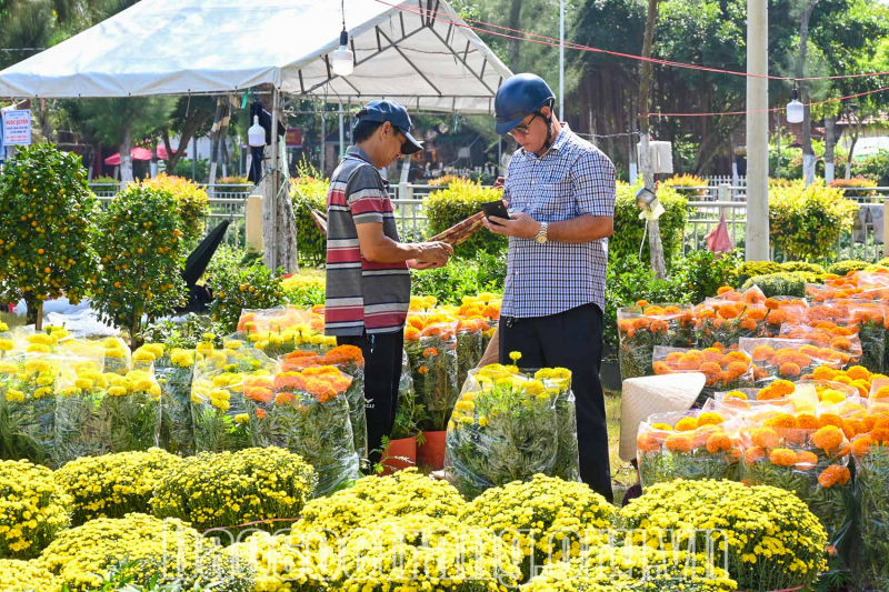 Nhộn nhịp chợ hoa xuân ngày Tết