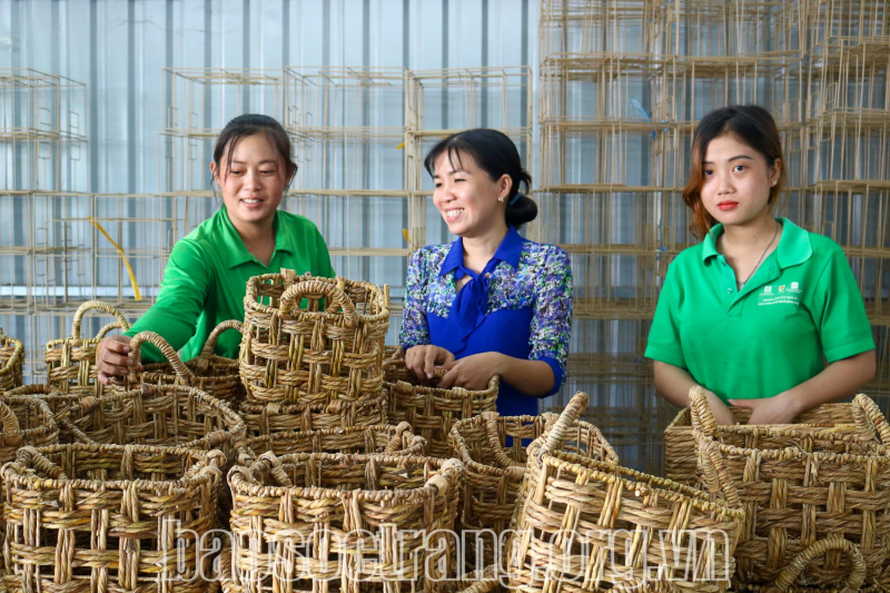 Vai trò của hợp tác xã tiểu thủ công nghiệp trong phát triển kinh tế nông thôn