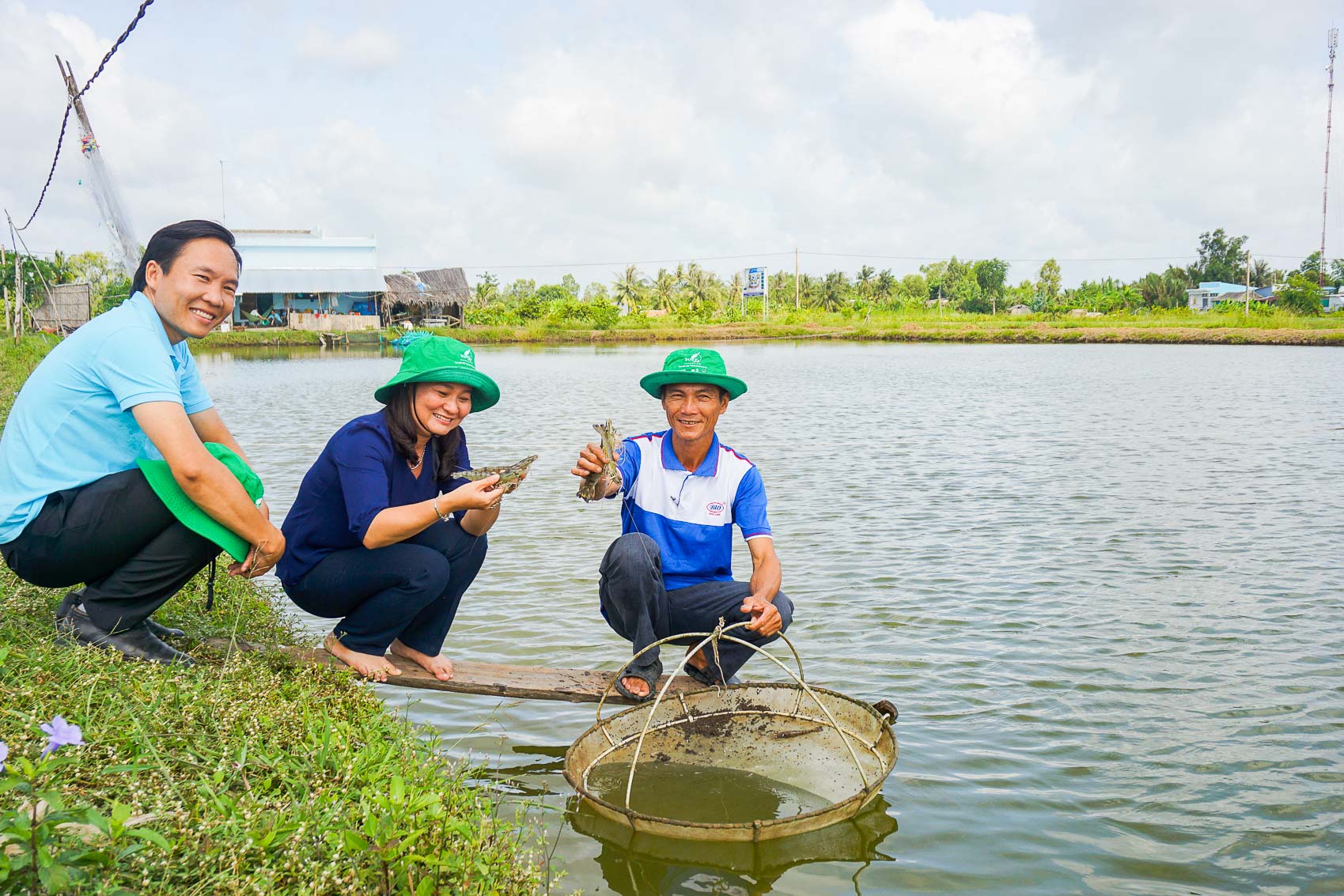 Năm 2024 là năm khó khăn, vất vả của ngành tôm, nhưng ngành tôm Sóc Trăng vẫn tiếp tục bứt phá. Ảnh: TÍCH CHU
