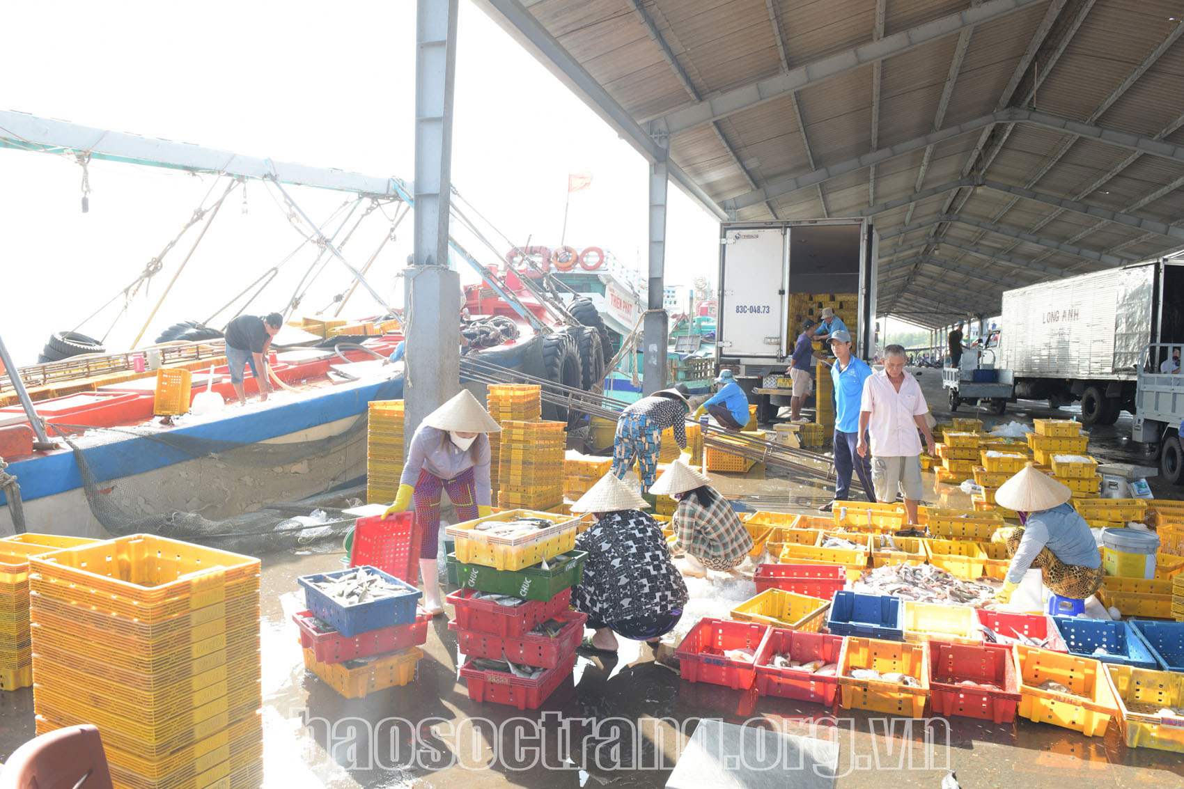 Ngư dân Sóc Trăng ra khơi đón “lộc biển” đầu năm