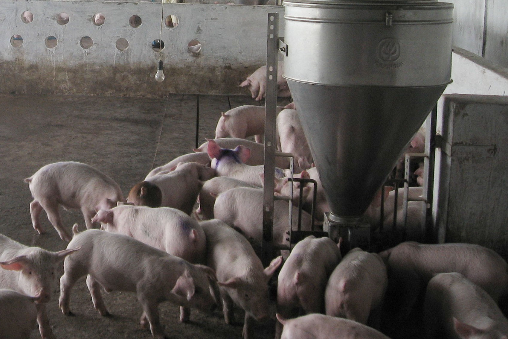 Khởi đầu hấp dẫn