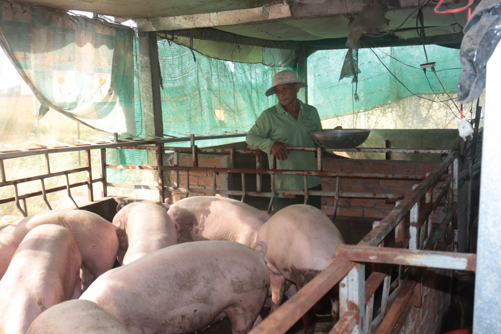 រួមដំណើរជាមួយកសិករខ្មែរនៅស្រុកមីទូឆ្លងផុតការលំបាក