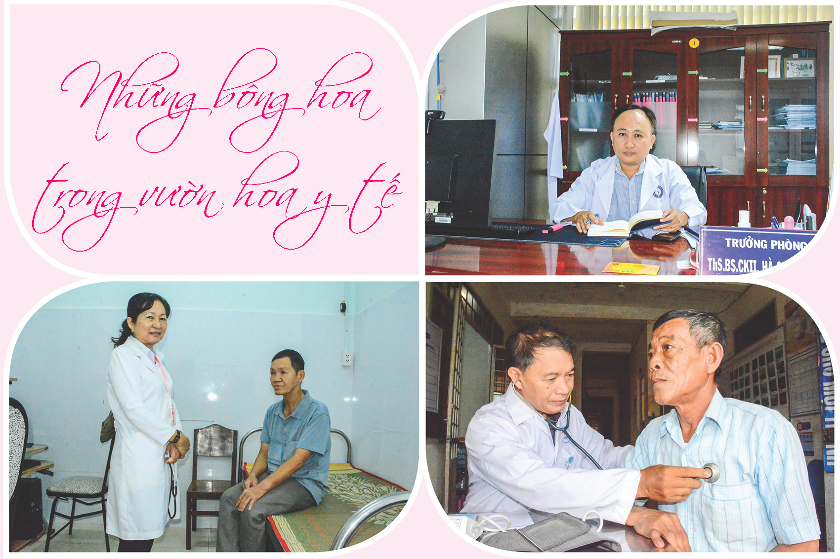 Những bông hoa trong vườn hoa y tế