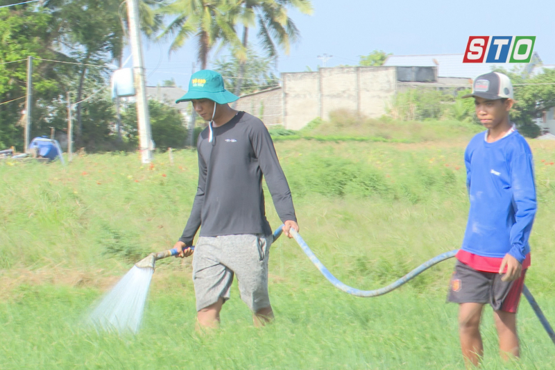 [Media] ទម្រង់ដាំដំណាំរបស់សមាគមកសិករទីរួមខេត្តវិញចូវ