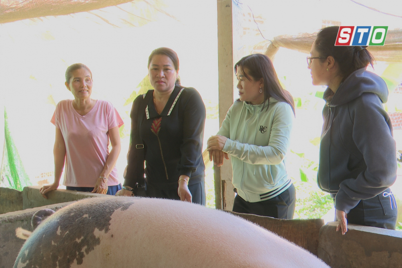 ប្រសិទ្ធភាពពីទម្រង់អភិវឌ្ឍន៍សេដ្ឋកិច្ចរបស់សមាជិកាសមាគមនារីស្រុកឡុងភូ