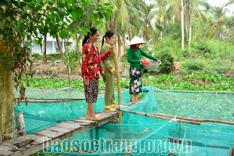 Nâng cao quyền năng kinh tế cho phụ nữ phát triển bền vững