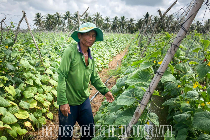 Huyện Long Phú chuyển đổi số toàn diện, sâu rộng, thực chất