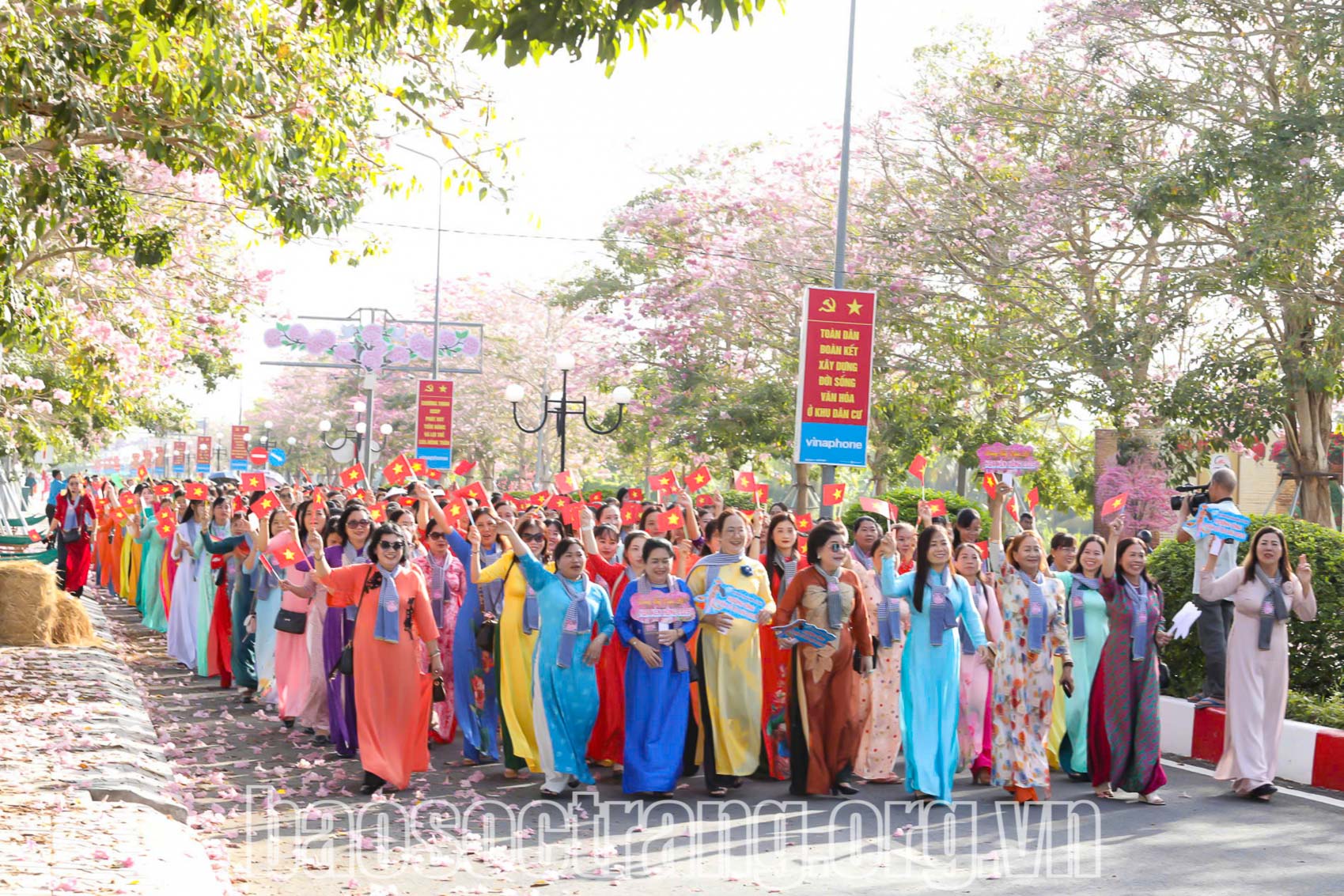 Đặc sắc Tuần lễ Hoa kèn hồng huyện Châu Thành