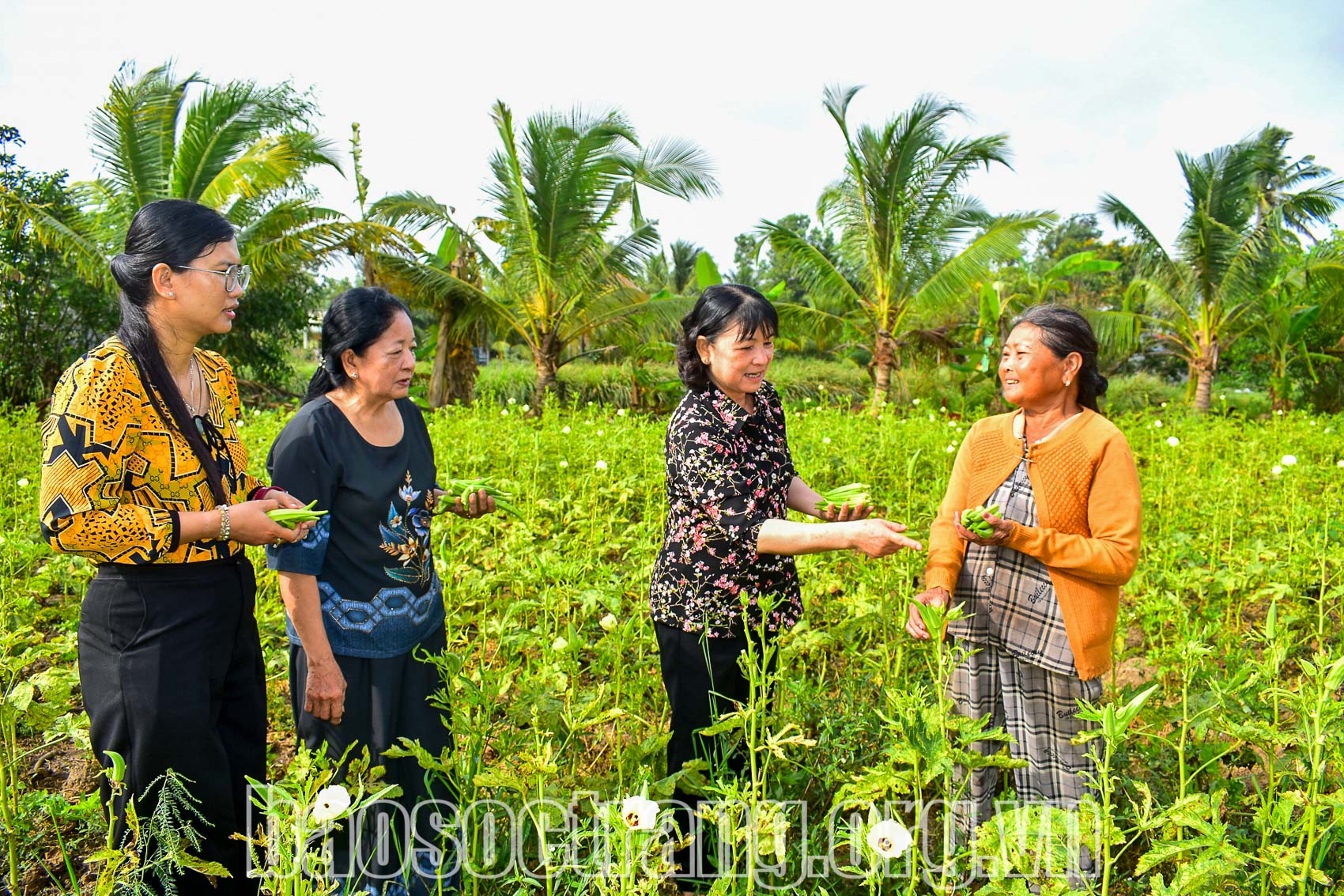 Hội Liên hiệp Phụ nữ thành phố Sóc Trăng tích cực hỗ trợ hội viên phát triển kinh tế