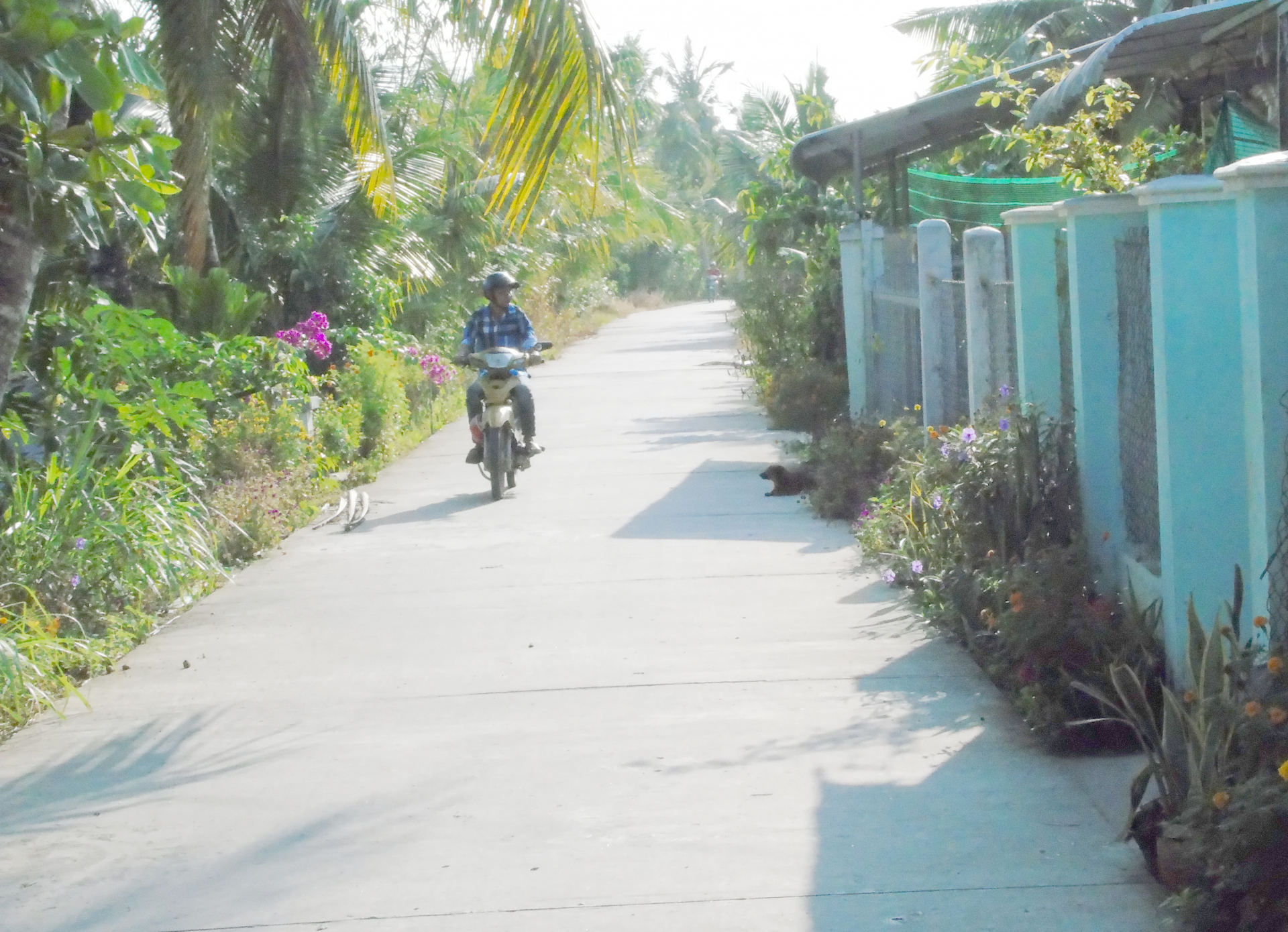 កម្មវិធីធ្វើឱ្យផ្លាស់ប្តូរជីវភាពរបស់ជនរួមជាតិខ្មែរ