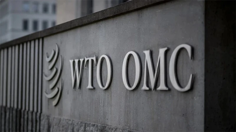 WTO kêu gọi cải cách, thúc đẩy thương mại tự do