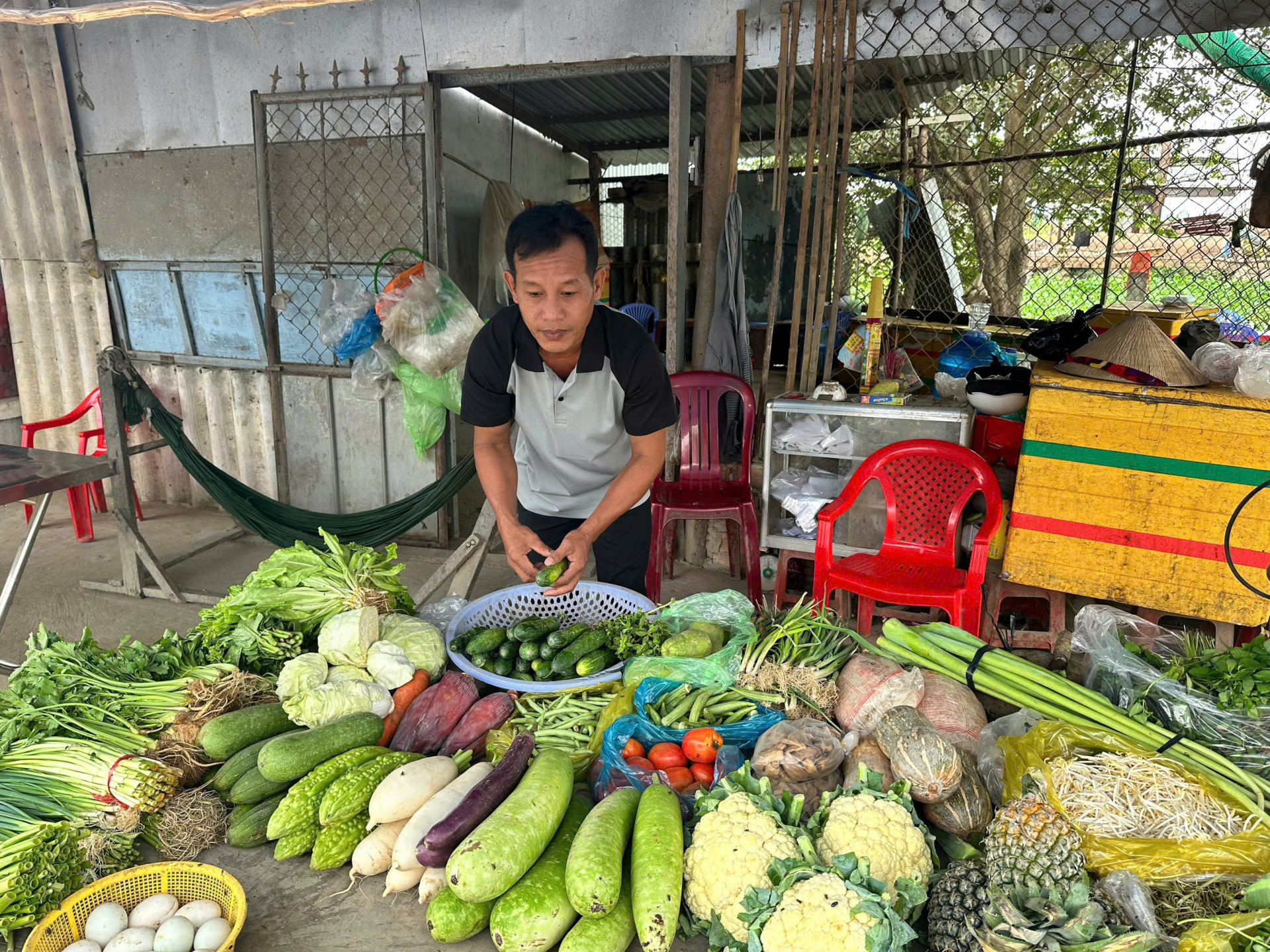 ឧបត្ថម្ភសមាជិកកសិករខ្មែរ ដើម្បីអភិវឌ្ឍសេដ្ឋកិច្ច