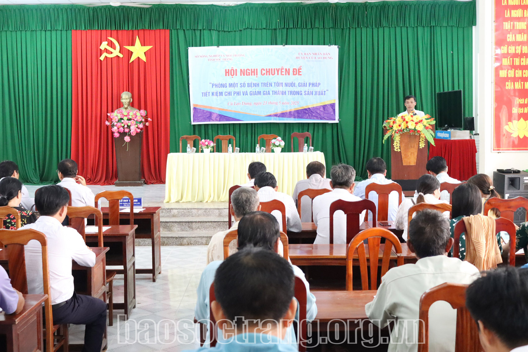 Phòng một số bệnh trên tôm, giải pháp tiết kiệm chi phí và giảm giá thành trong sản xuất