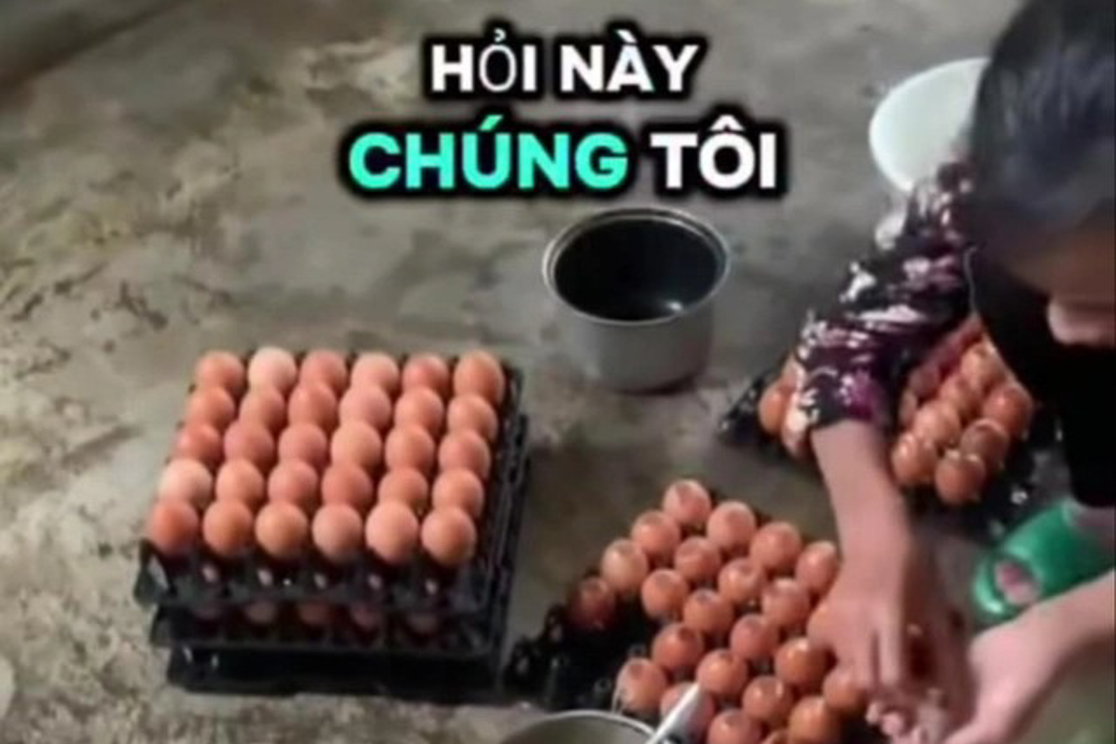 Hiệp hội Gia cầm Việt Nam lên tiếng về thông tin "trứng gà giả"