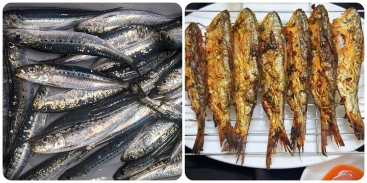 Loại cá nhỏ nhưng chứa nhiều Omega-3 và canxi bạn nên ăn thường xuyên