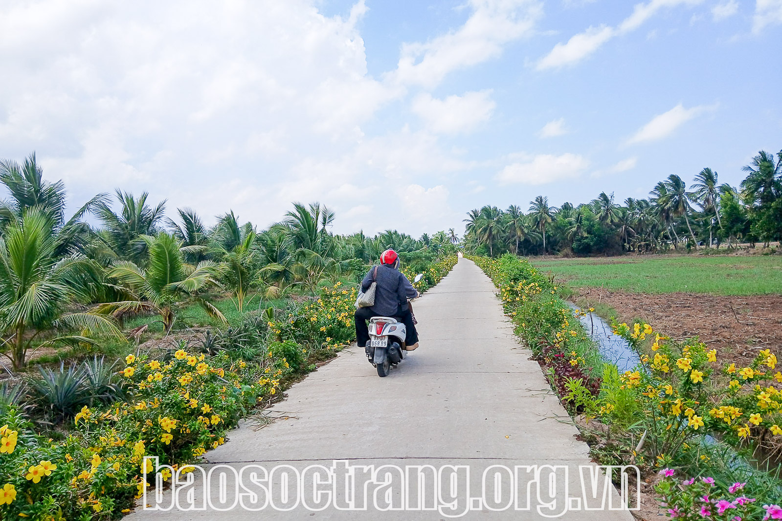 Giao thông nông thôn tại huyện Cù Lao Dung (Sóc Trăng) được đầu tư xây dựng. Ảnh: NGỌC HẢI