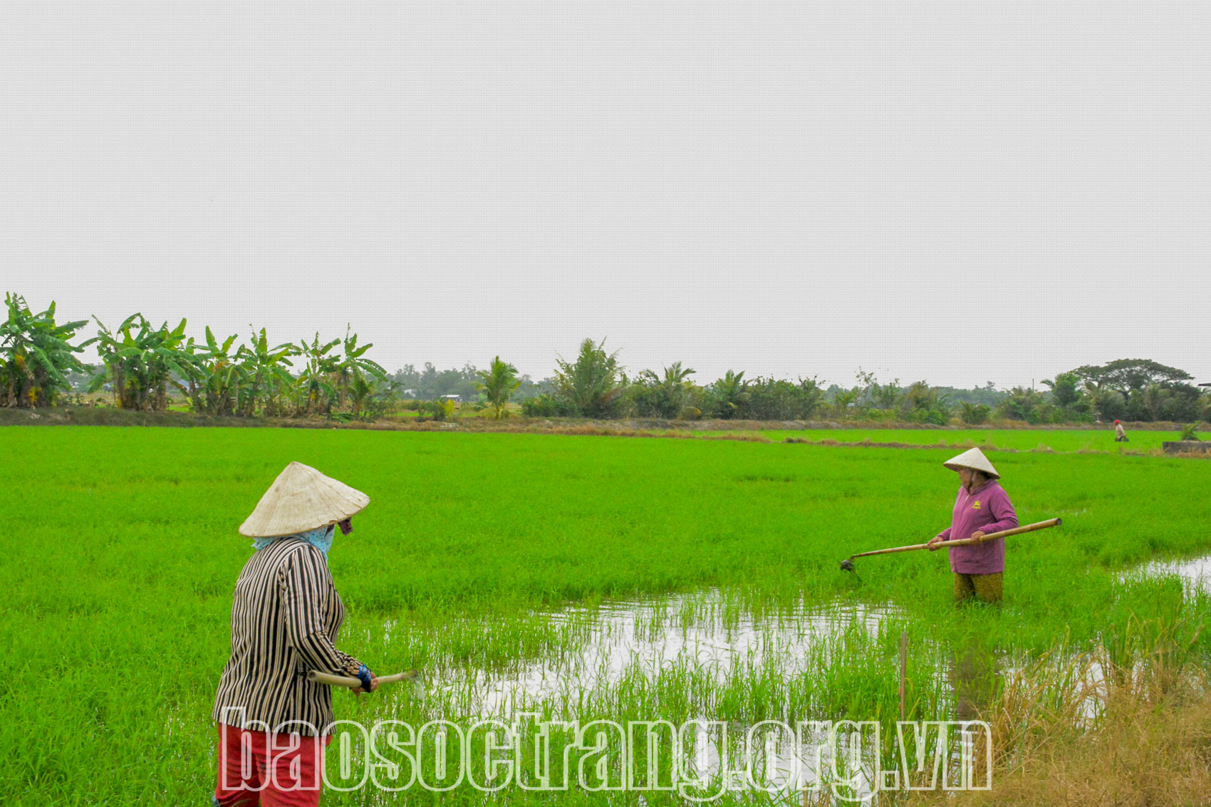 Tạo đà phát triển từ ổn định đến chuyển biến thực chất