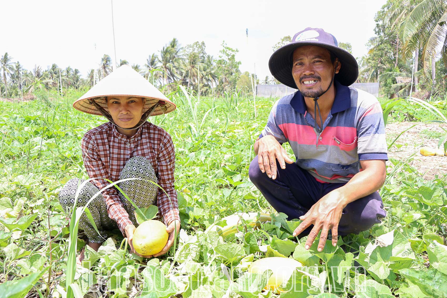 Đòn bẩy từ chương trình, tạo sức bật trong giảm nghèo bền vững