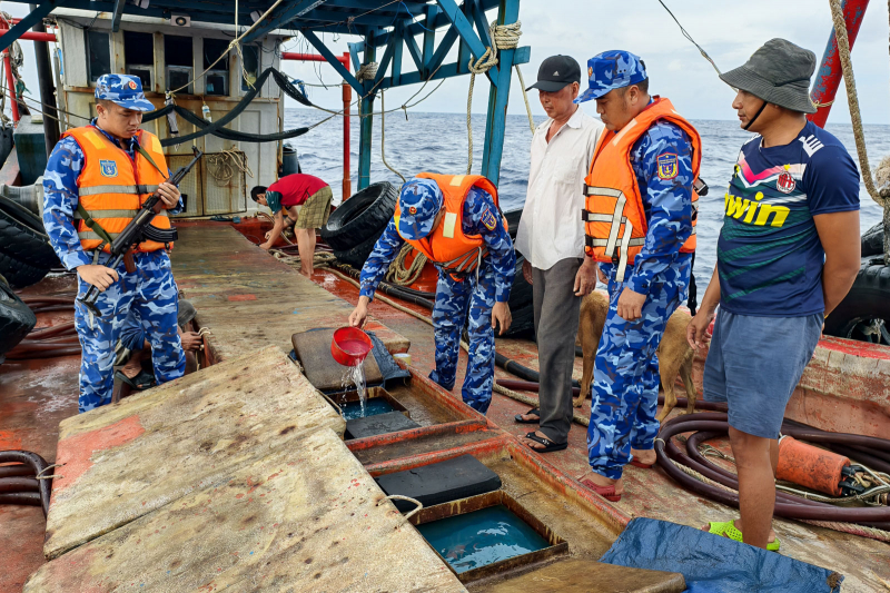 Bắt giữ tàu vận chuyển khoảng 50.000 lít dầu DO trái phép trên vùng biển Tây Nam