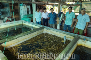 Phòng Giao dịch Ngân hàng Chính sách xã hội huyện Thạnh Trị - 