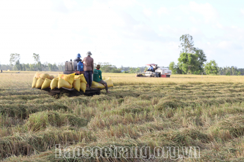 Xã Lâm Kiết hôm nay