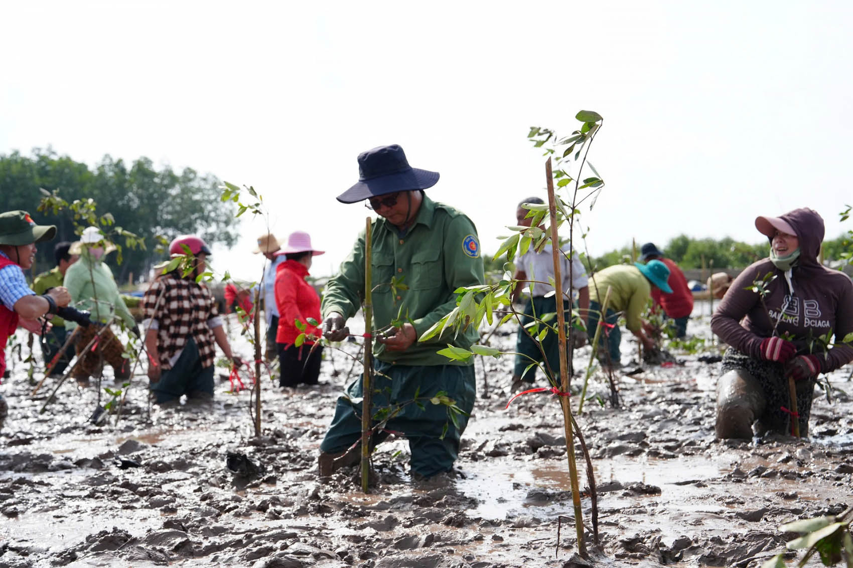 Tổ chức Chương trình “Vì một Việt Nam xanh”
