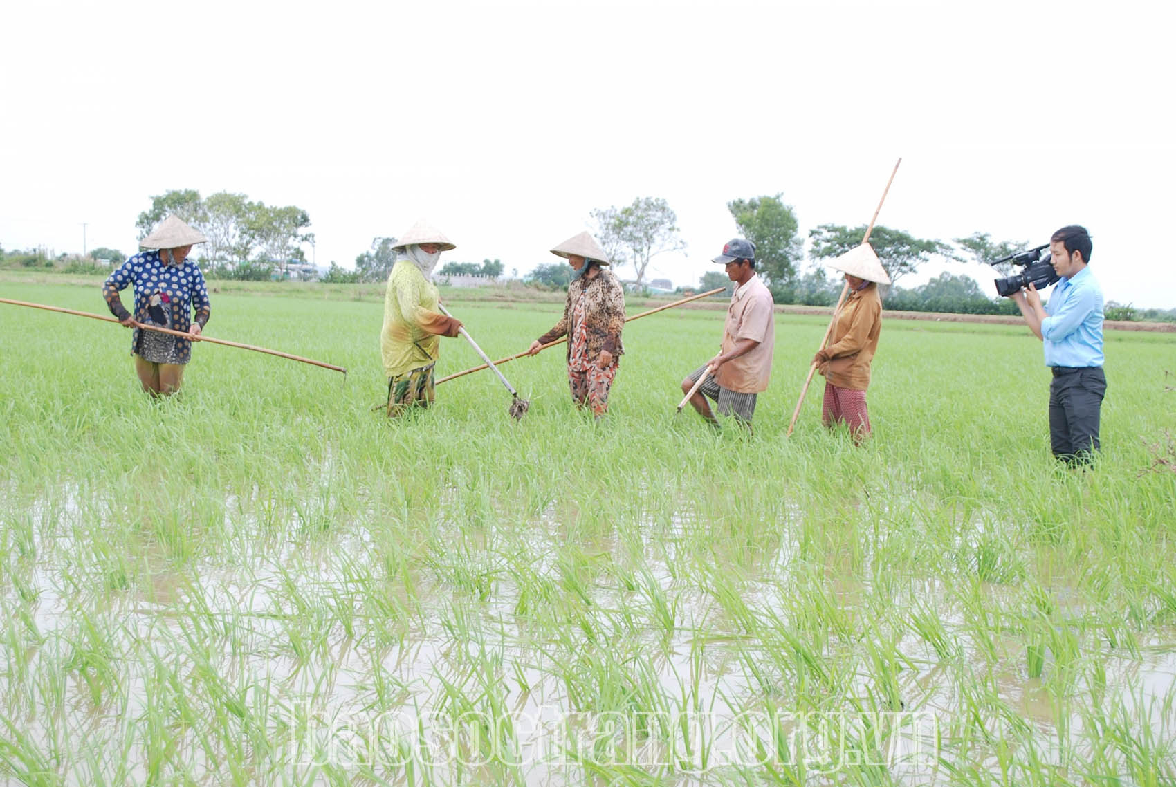 Tâm huyết của những người làm báo không chuyên