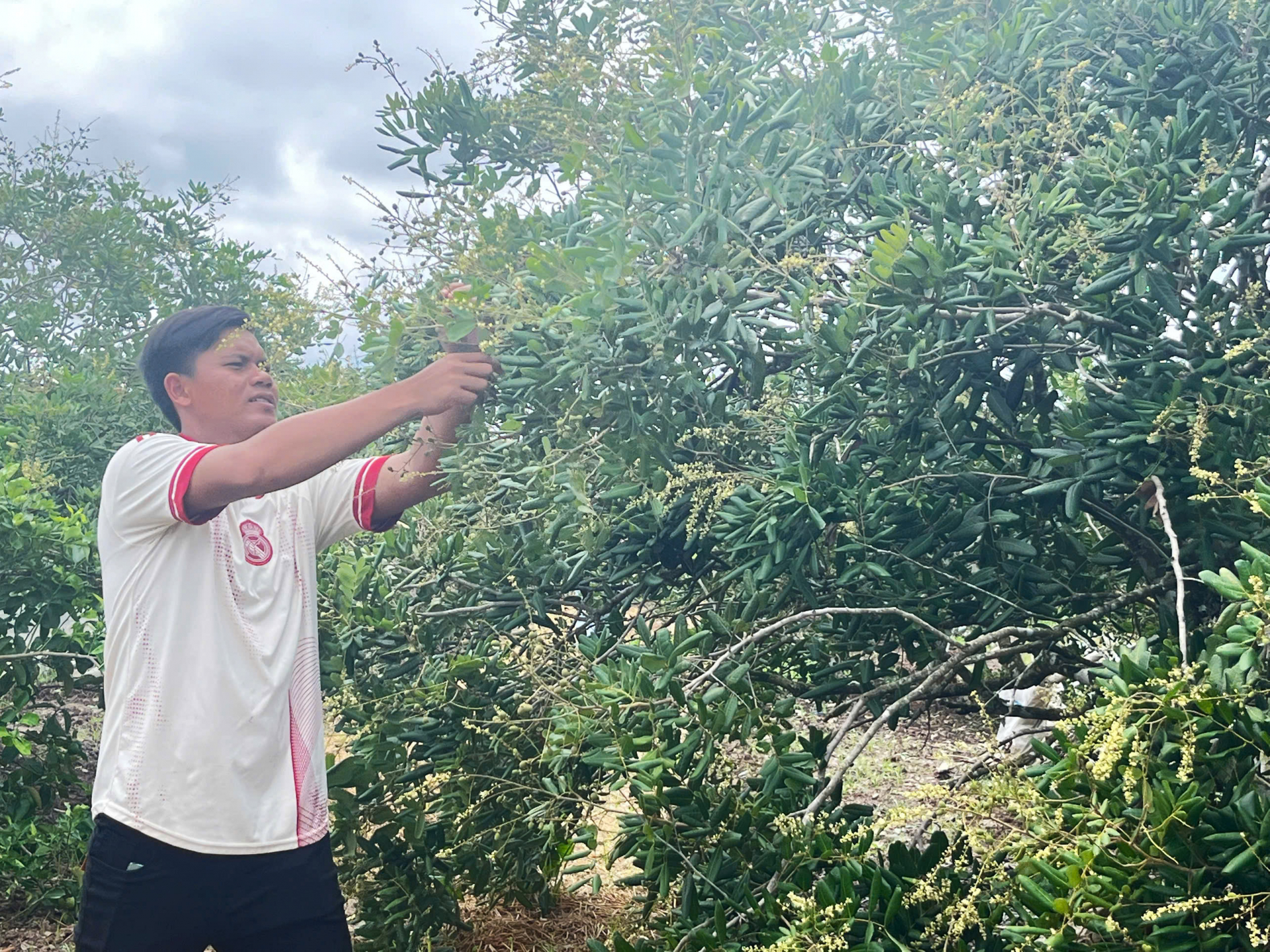 ផ្តើមអាជីពជោគជ័យពីដើមមៀន