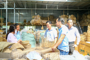 Mô hình kinh tế hợp tác xã - điểm sáng trong công tác giảm nghèo