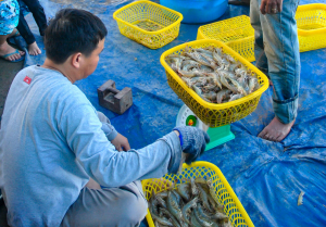 Tăng trưởng và lo âu