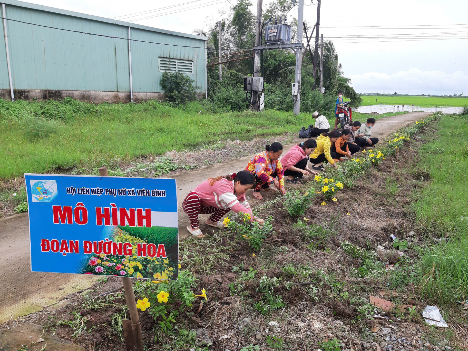 ទម្រង់គ្មាន៥ប្រការ ៣ប្រការស្អាតរួមចំណែកក្នុងការកសាងជនបទថ្មី