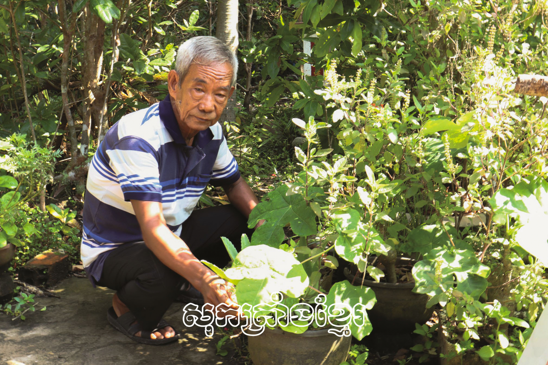 ពូលីជាន ភូមិភឿកឡើយ ឃុំភូតឹង ស្រុកចូវថាញ់ អ្នកមានប្រិយភាពធ្វើច្រើនការងារល្អ