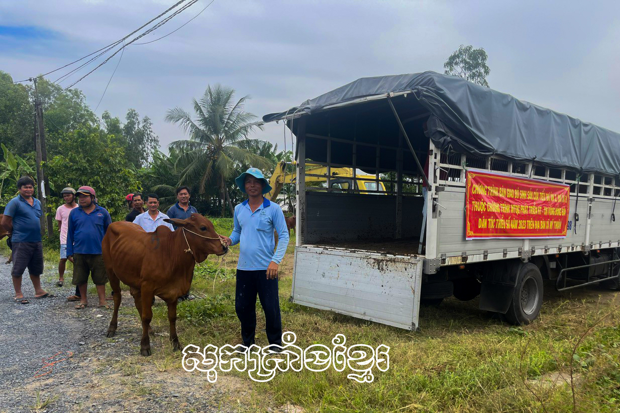 គ្រួសារជនជាតិភាគតិចនៅលើភូមិដ្ឋានស្រុកមីទូរីករាយពេលបានឧបត្ថម្ភគោពូជពីគម្រោង៣របស់កម្មវិធី