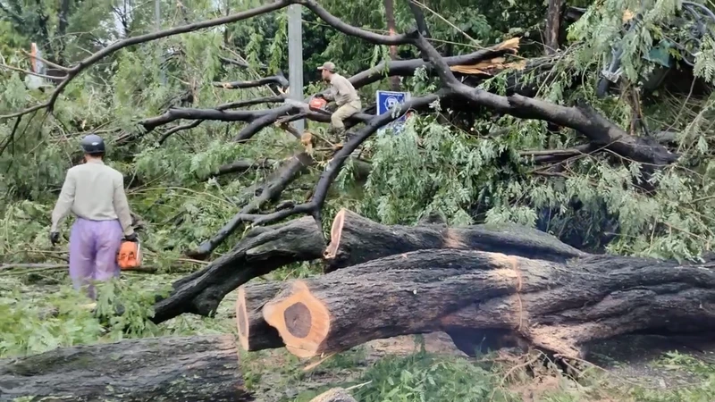 Bão số 3 khiến 54 người chết và mất tích, gần 200 người bị thương