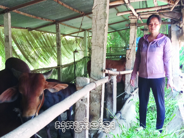 ជំនួយសមាជិកាពង្រីកសេដ្ឋកិច្ចគ្រួសារ