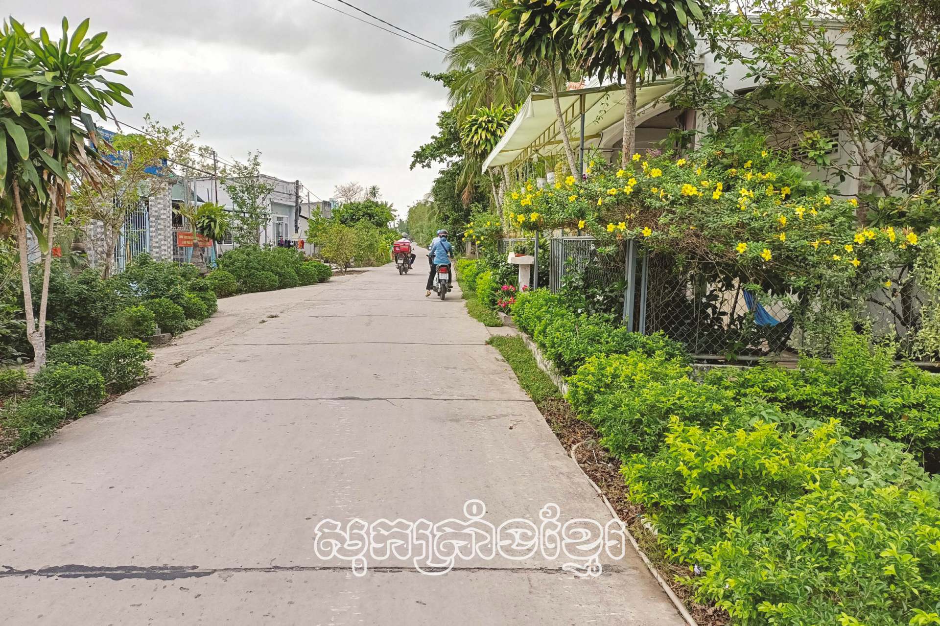 ទិដ្ឋភាពតាមភូមិស្រុកដែលកសាងជនបទថ្មីនៅស្រុកចូវថាញ់(សុកត្រាំង)