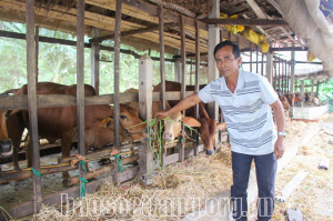 Hội Cựu chiến binh huyện Long Phú: Phấn đấu xóa hộ nghèo trong hội viên cựu chiến binh