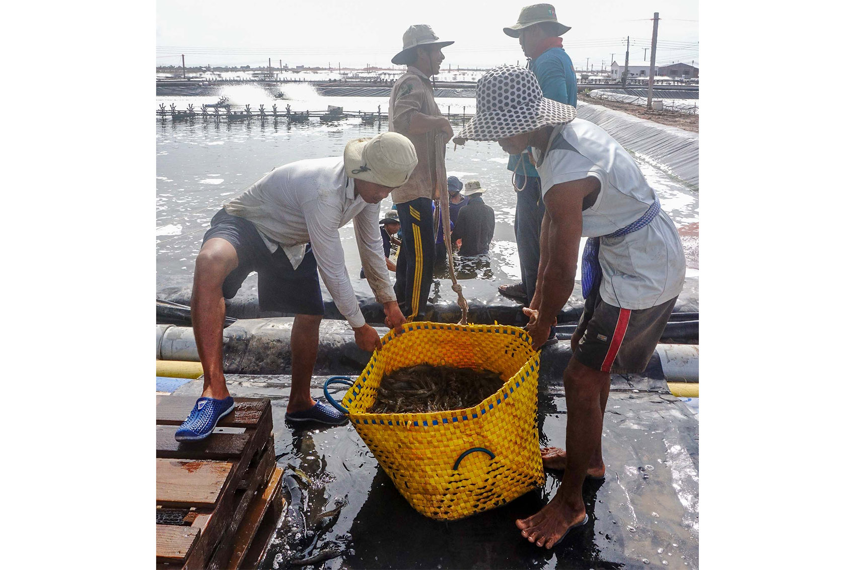 Góc nhìn kinh tế: Loay hoay bài toán chi phí, giá thành