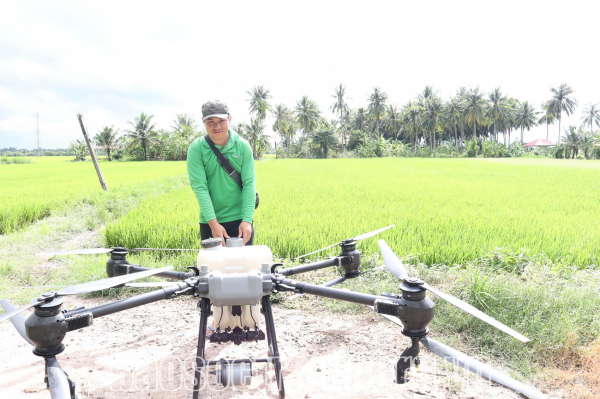 Ứng dụng hiệu quả máy bay không người lái trong canh tác lúa