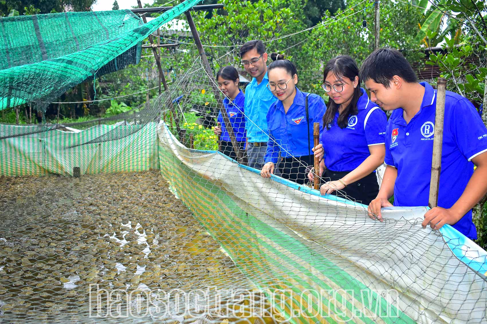 Đoàn viên Trần Võ Minh Anh, Phường 10, thành phố Sóc Trăng (Sóc Trăng) đã khởi nghiệp thành công với mô hình nuôi ếch thương phẩm. Ảnh: HUỲNH NHƯ