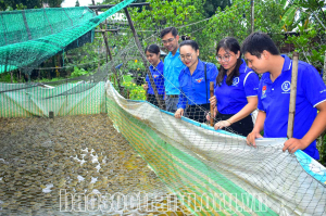 Đồng hành cùng đoàn viên, thanh niên khởi nghiệp