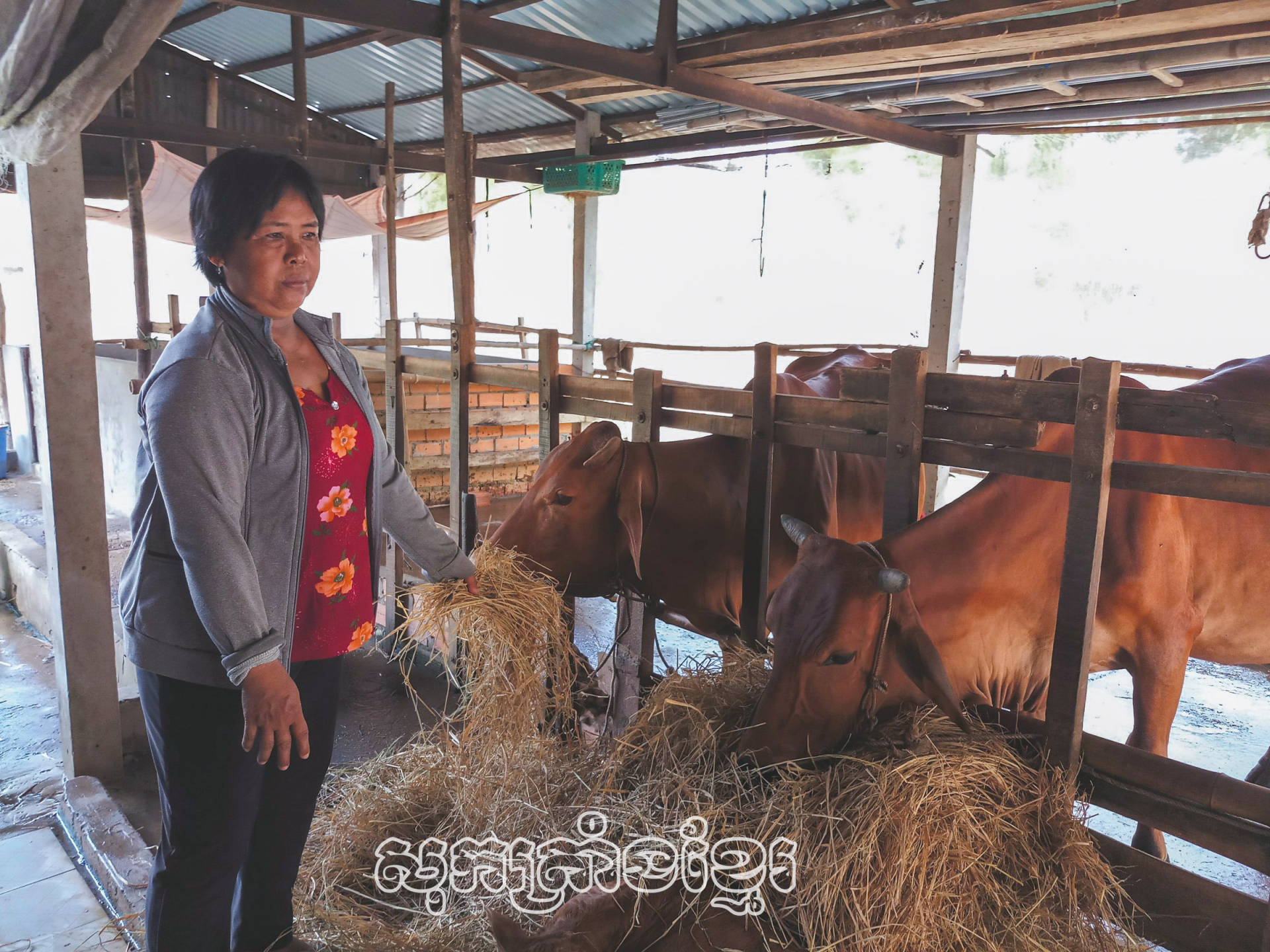 ដោយបានភូមិជំនួយបុលទុន គ្រួសារខ្មែរមានលក្ខណៈអភិវឌ្ឍសេដ្ឋកិច្ចឈានឡើងចាកផុតពីភាពក្រ 