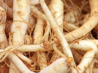 Rau sâm đất có tác dụng gì?