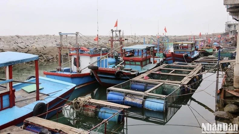 Ngành thủy sản đối mặt nhiều khó khăn thách thức 6 tháng đầu năm